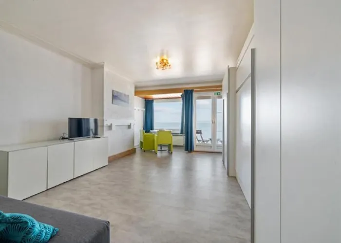 Cozy With Breathtaking Sea View T150 公寓 奥斯滕德